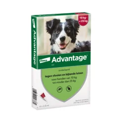 Advantage Cane
