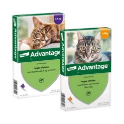 Advantage Gatto
