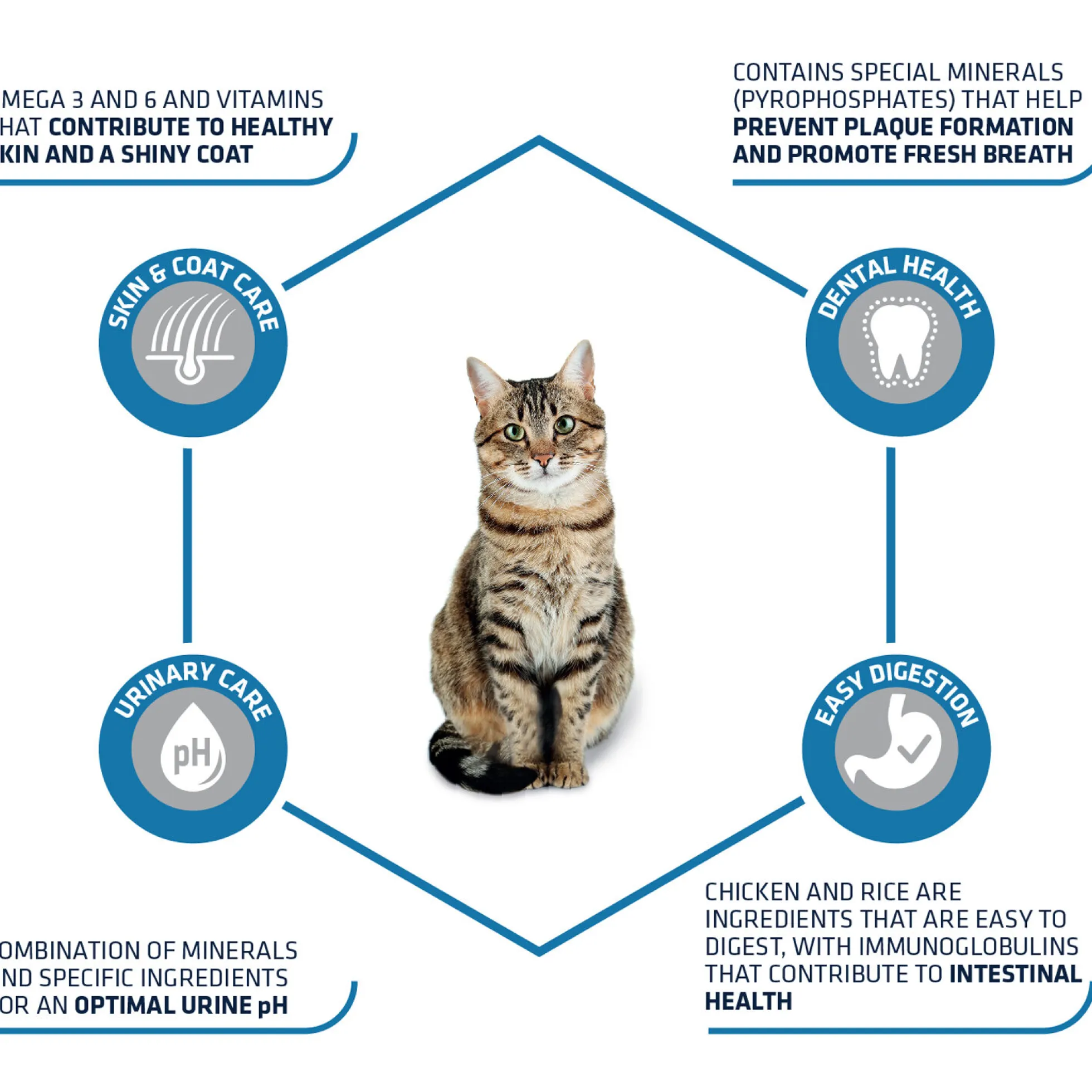 Affinity Advance Adult Pollo e Riso - Gatto