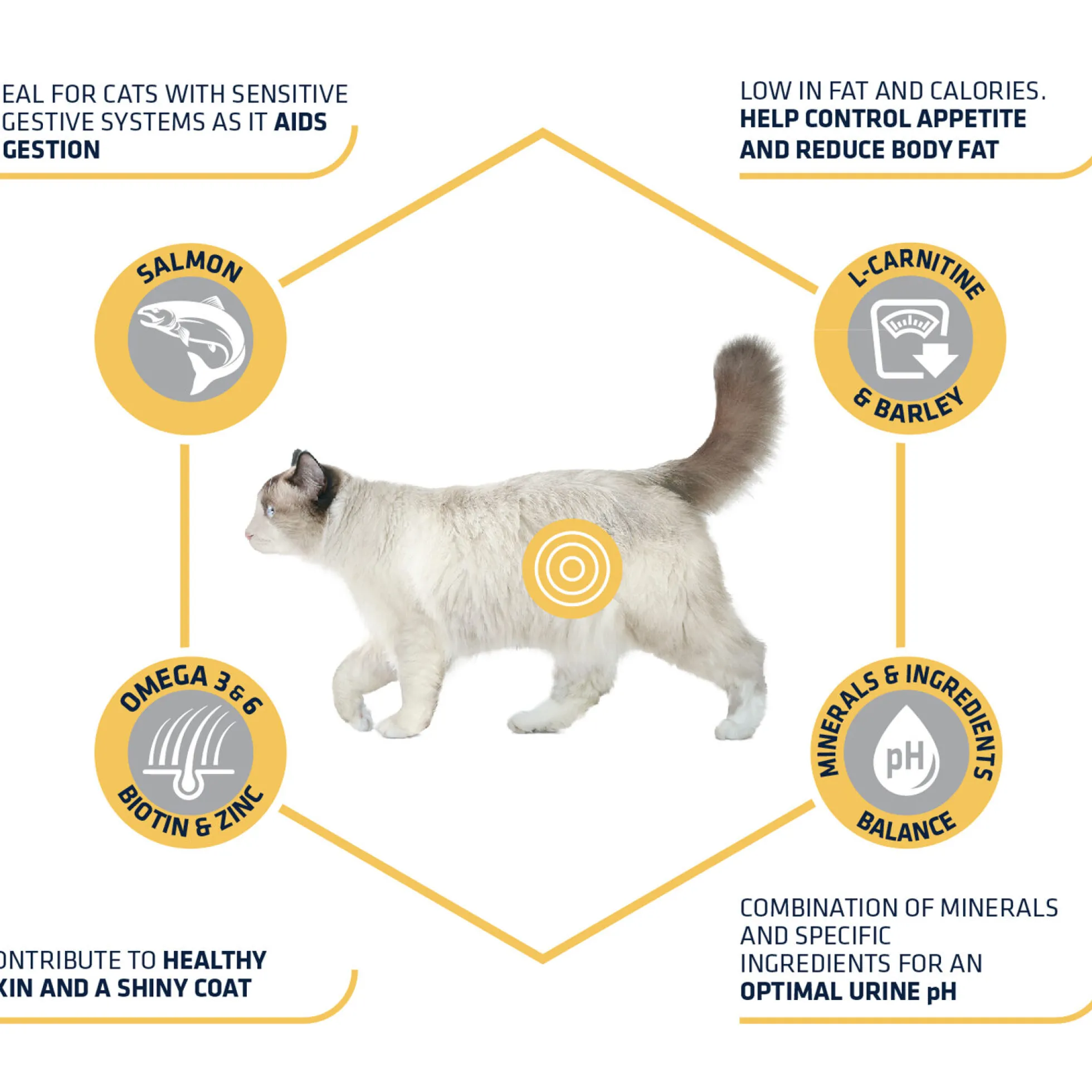 Affinity Advance Sterilized Salmon Sensitive - Gatto