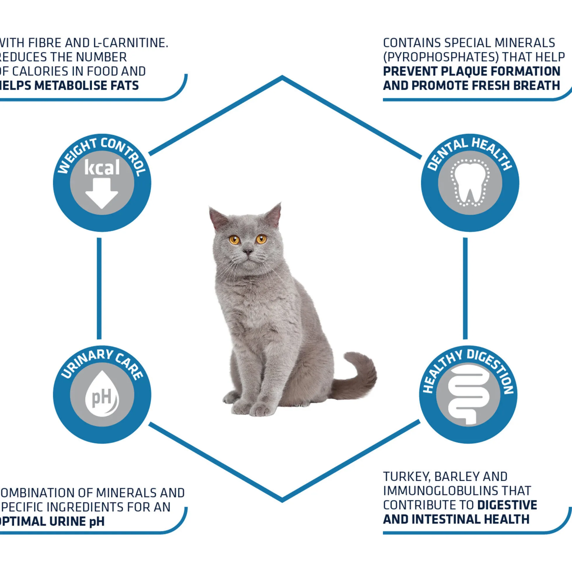 Affinity Advance Sterilized Tacchino - Gatto