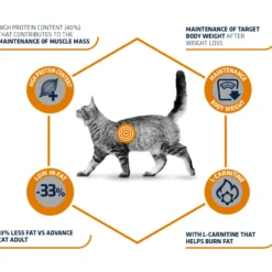 Affinity Advance Veterinary Diets Weight Balance Gatto