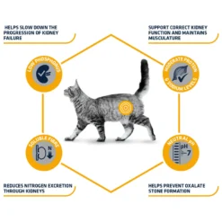 Affinity Advance Veterinary Diets Renal Gatto
