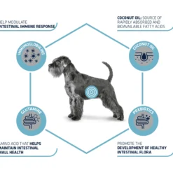 Affinity Advance Veterinary Diets Gastroenteric Cane