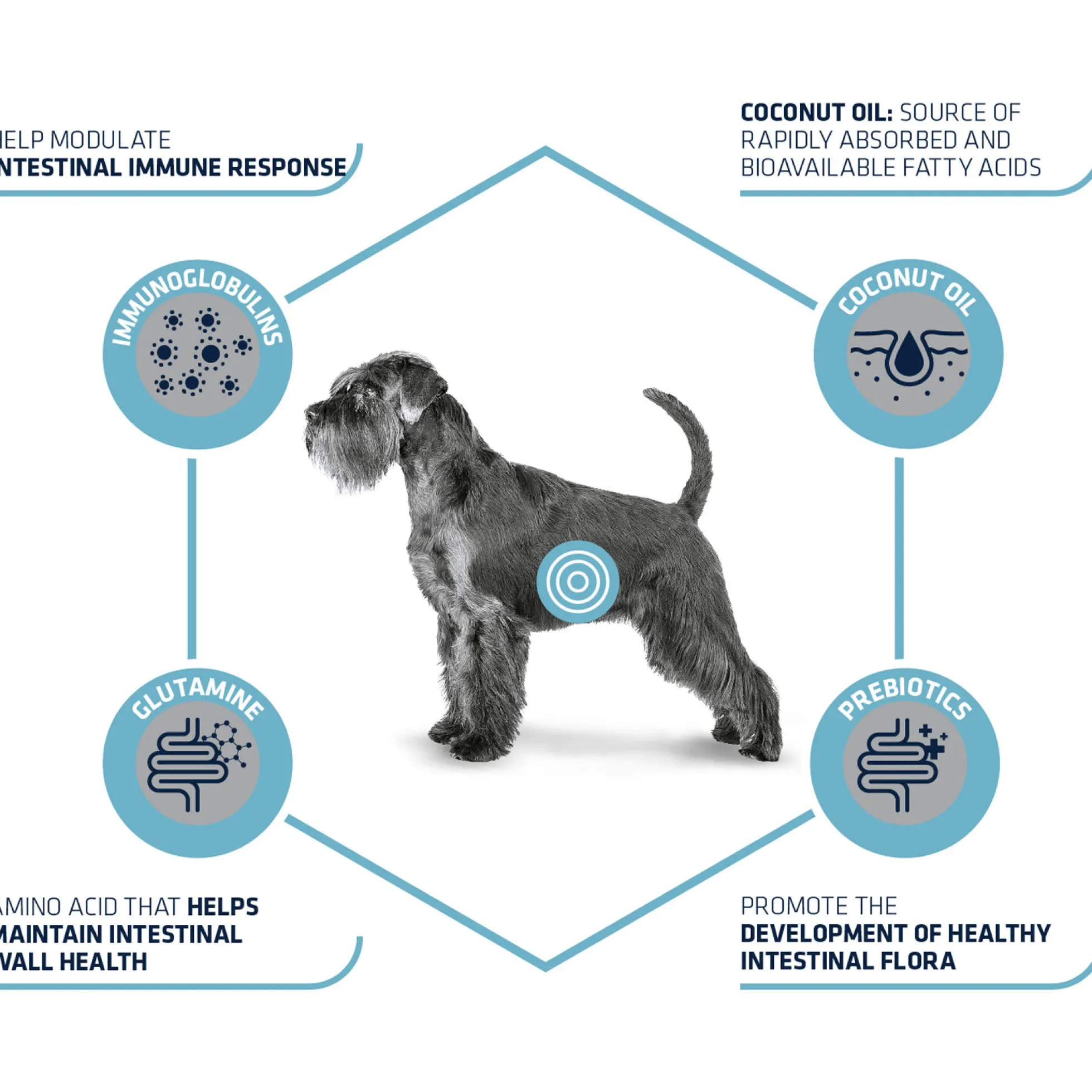 Affinity Advance Veterinary Diets Gastroenteric Cane