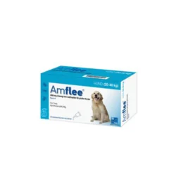 Amflee Spot-on Cane