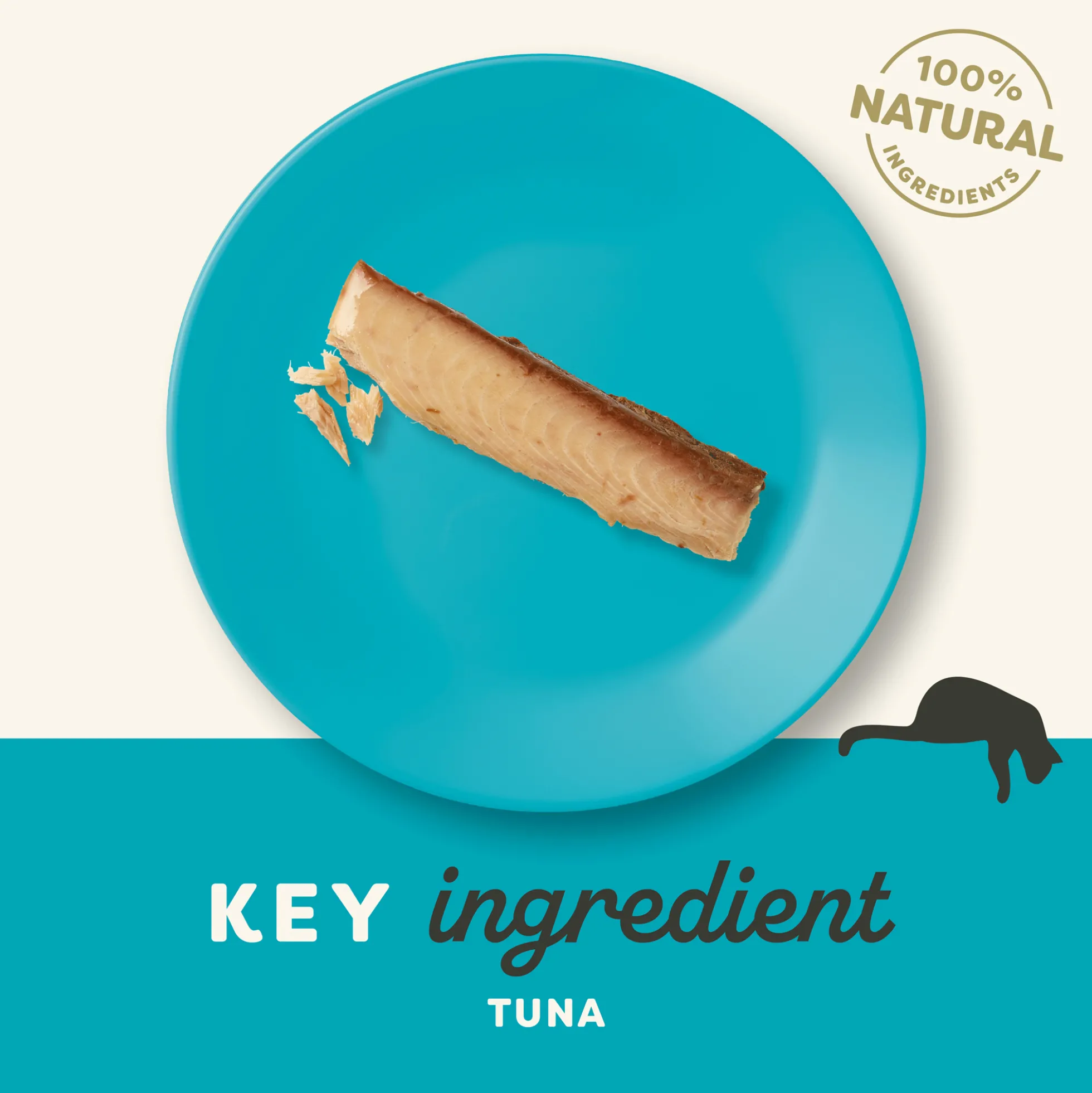 Applaws Cat - Tuna Loin