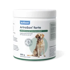 ArtroSan forte