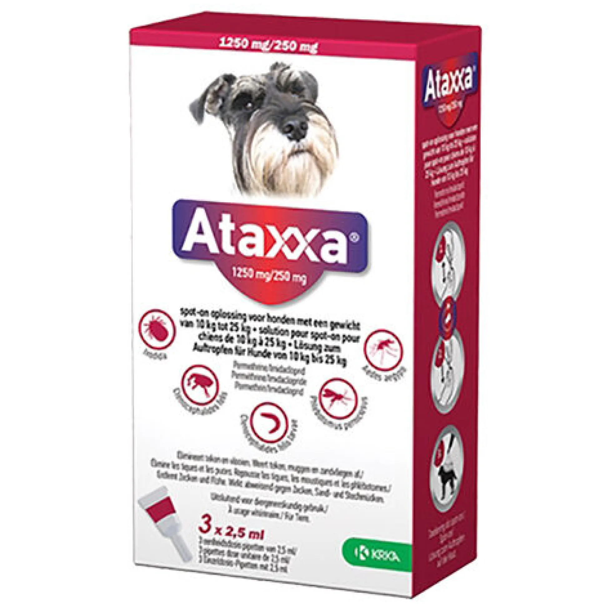 Ataxxa