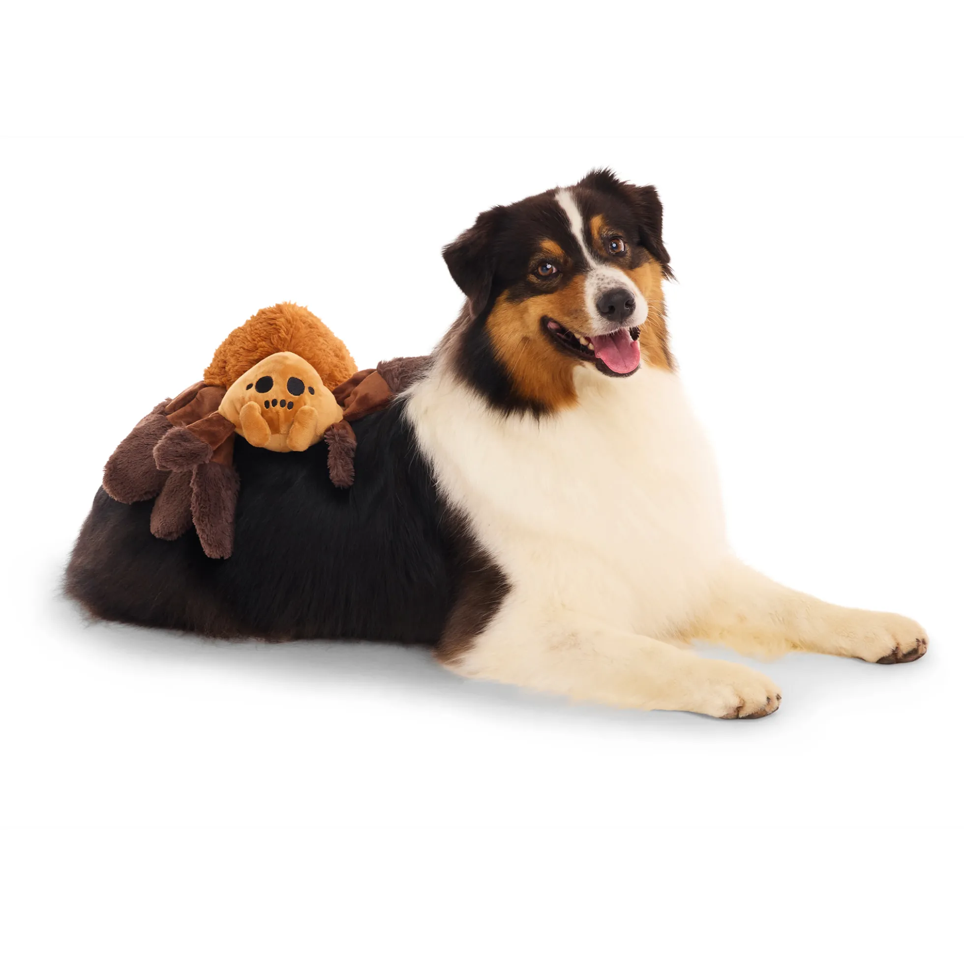 Bark Harry Potter Aragog Peluche