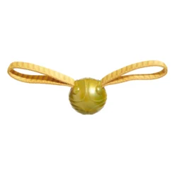 Bark Harry Potter Golden Snitch