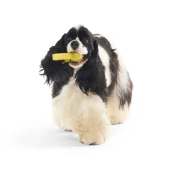 Bark Harry Potter Golden Snitch