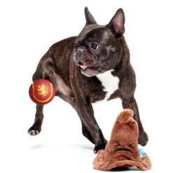 Bark Harry Potter Sorting Hat Peluche con Palla