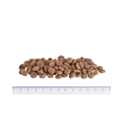Brit Veterinary Diet Cat - Grain free - Renal