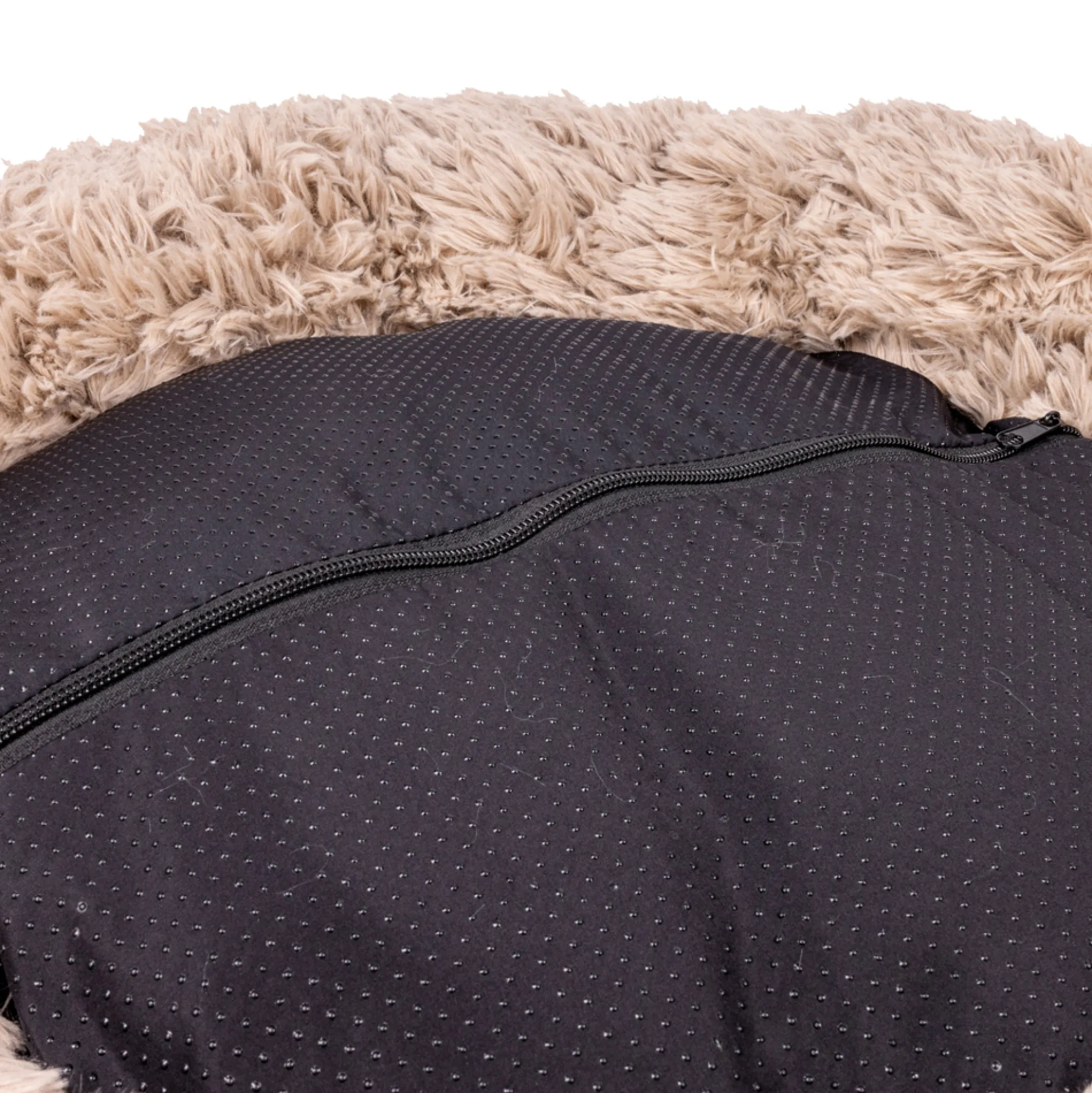 Buckz Cuccia a Ciambella