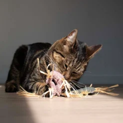 D&D Giocattolo per Gatti Milly