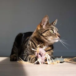 D&D Giocattolo per Gatti Milly