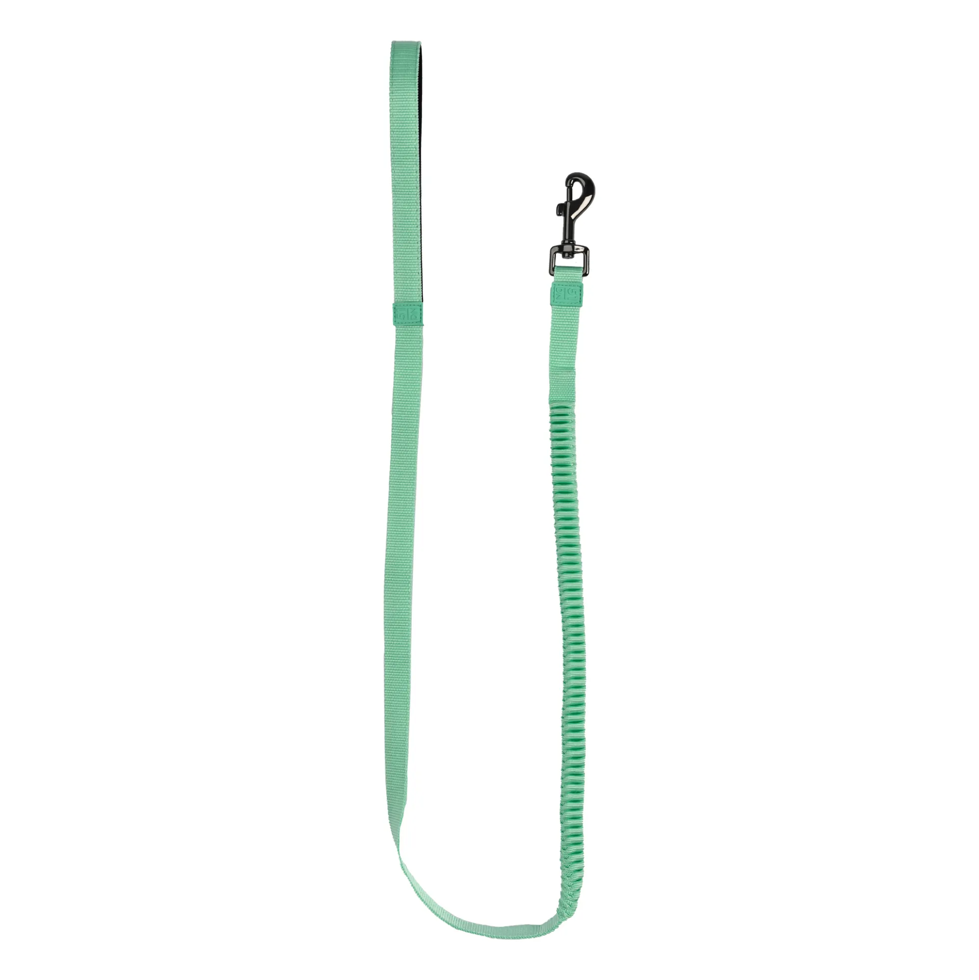 51 Degrees North Wanderful Leash Bungee
