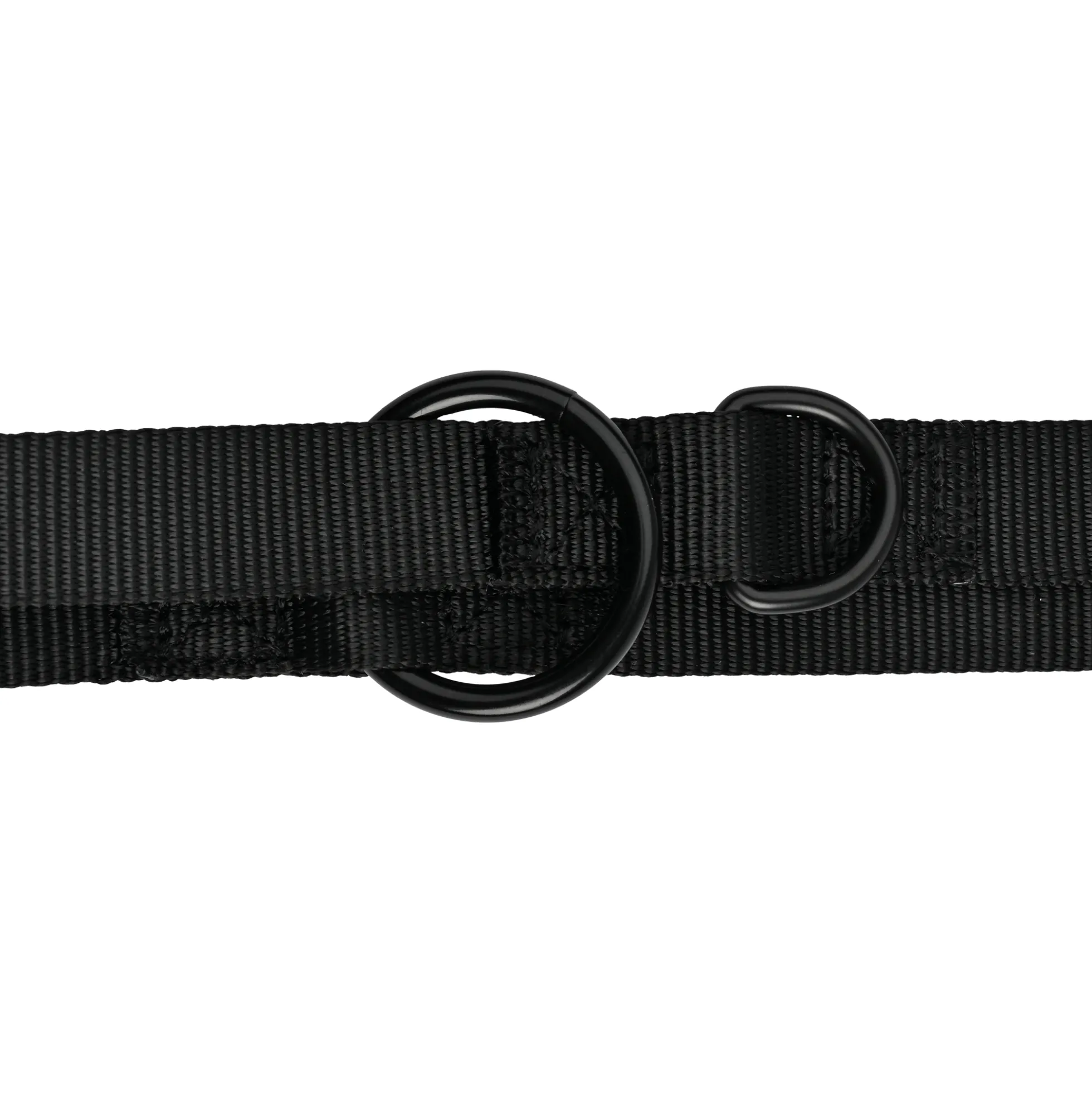51 Degrees North Wanderful Training Leash