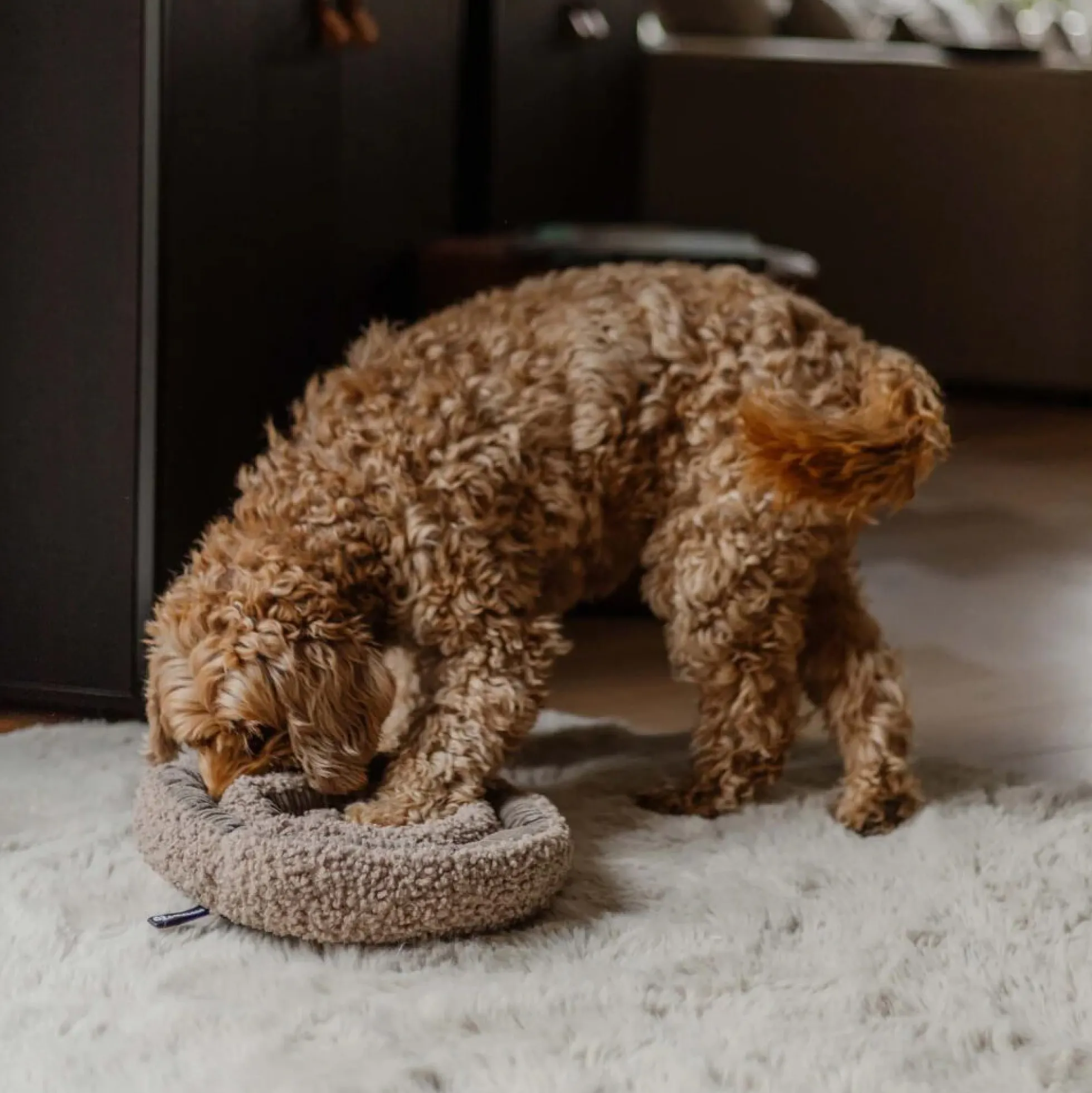 District 70 Swirl Snuffle Mat