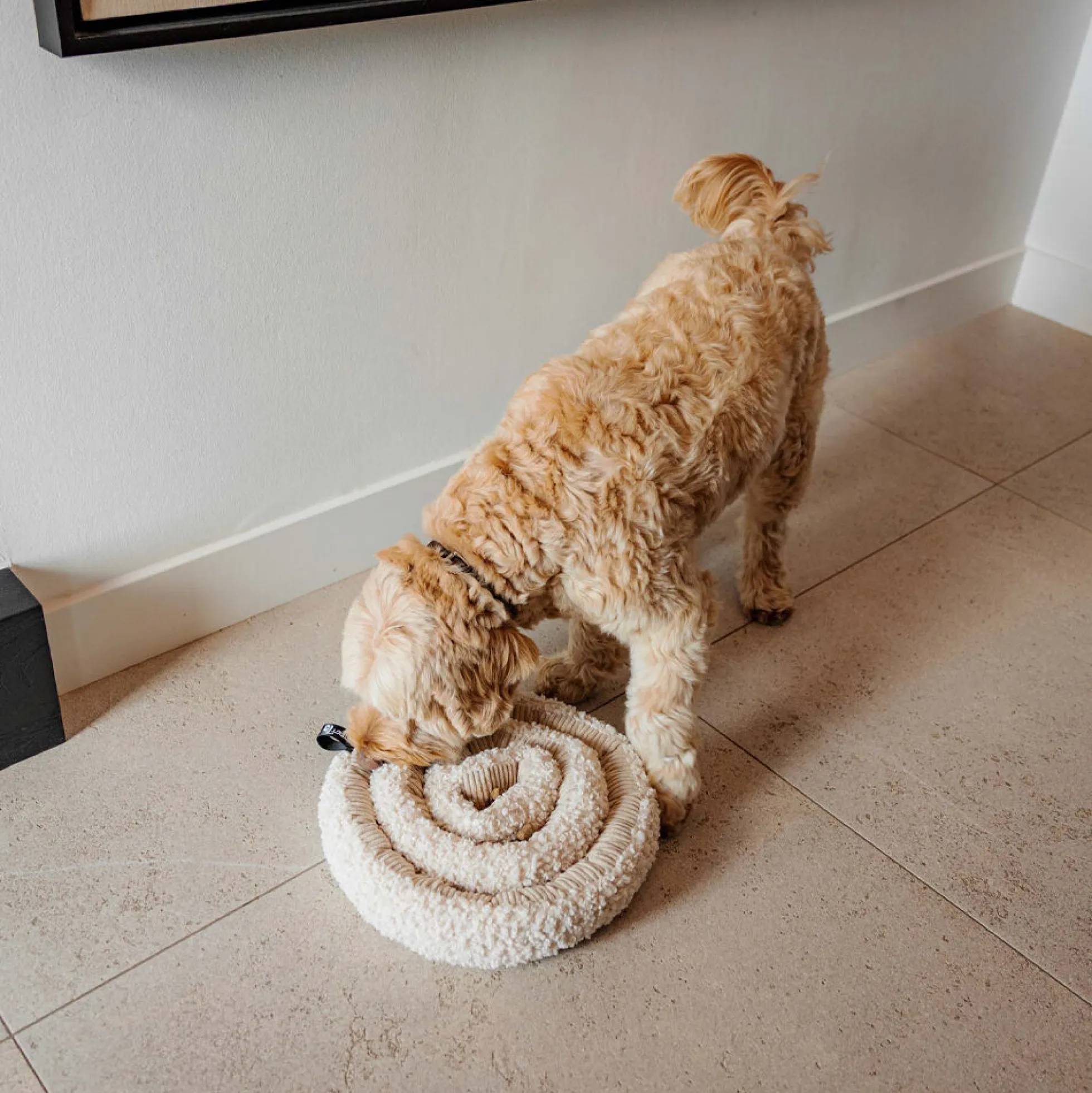 District 70 Swirl Snuffle Mat