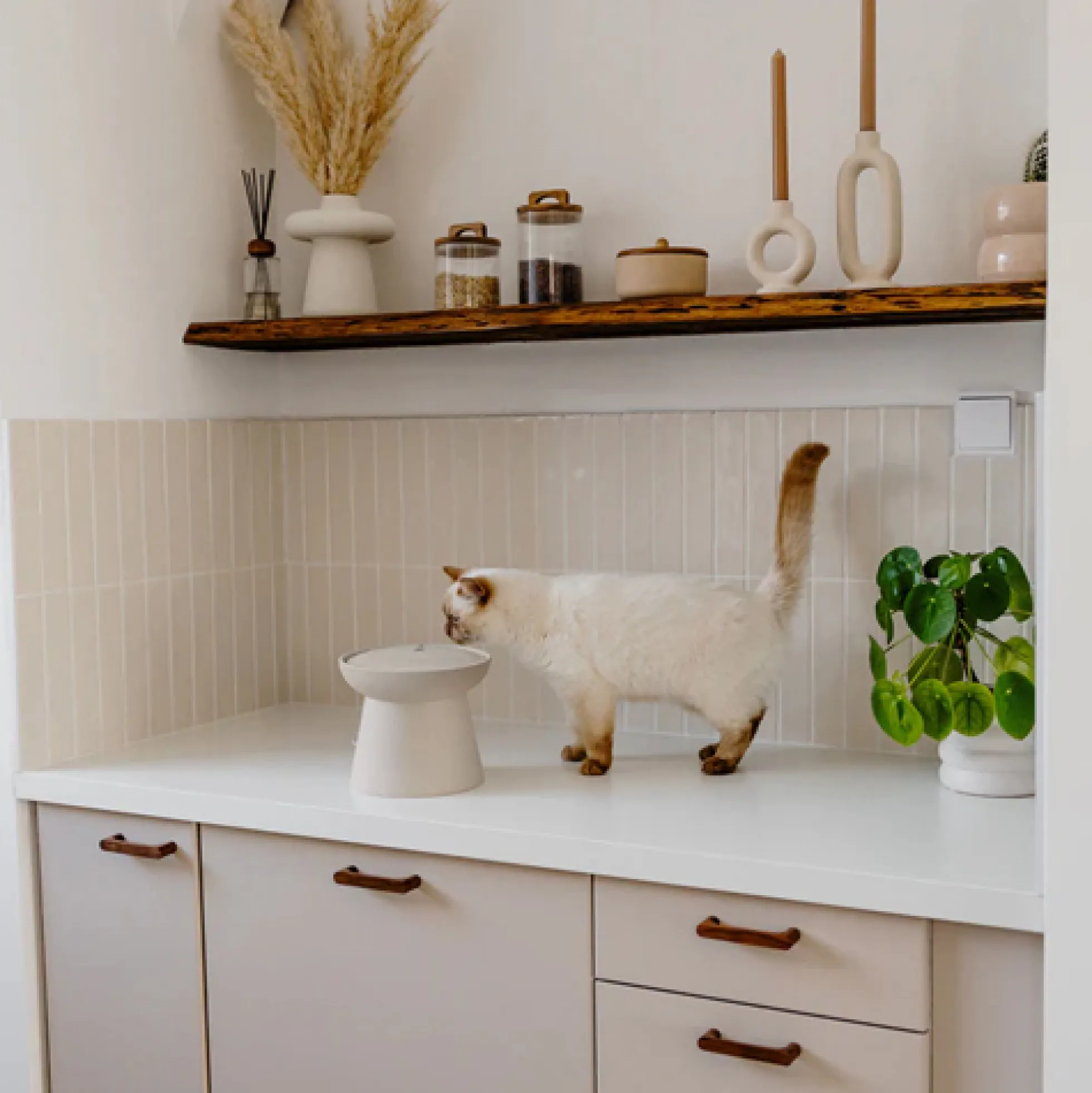 District 70 WABI SABI Fontanella in Ceramica