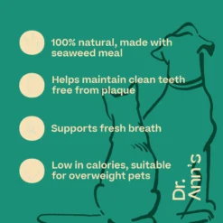 Dr. Ann's Dental Care