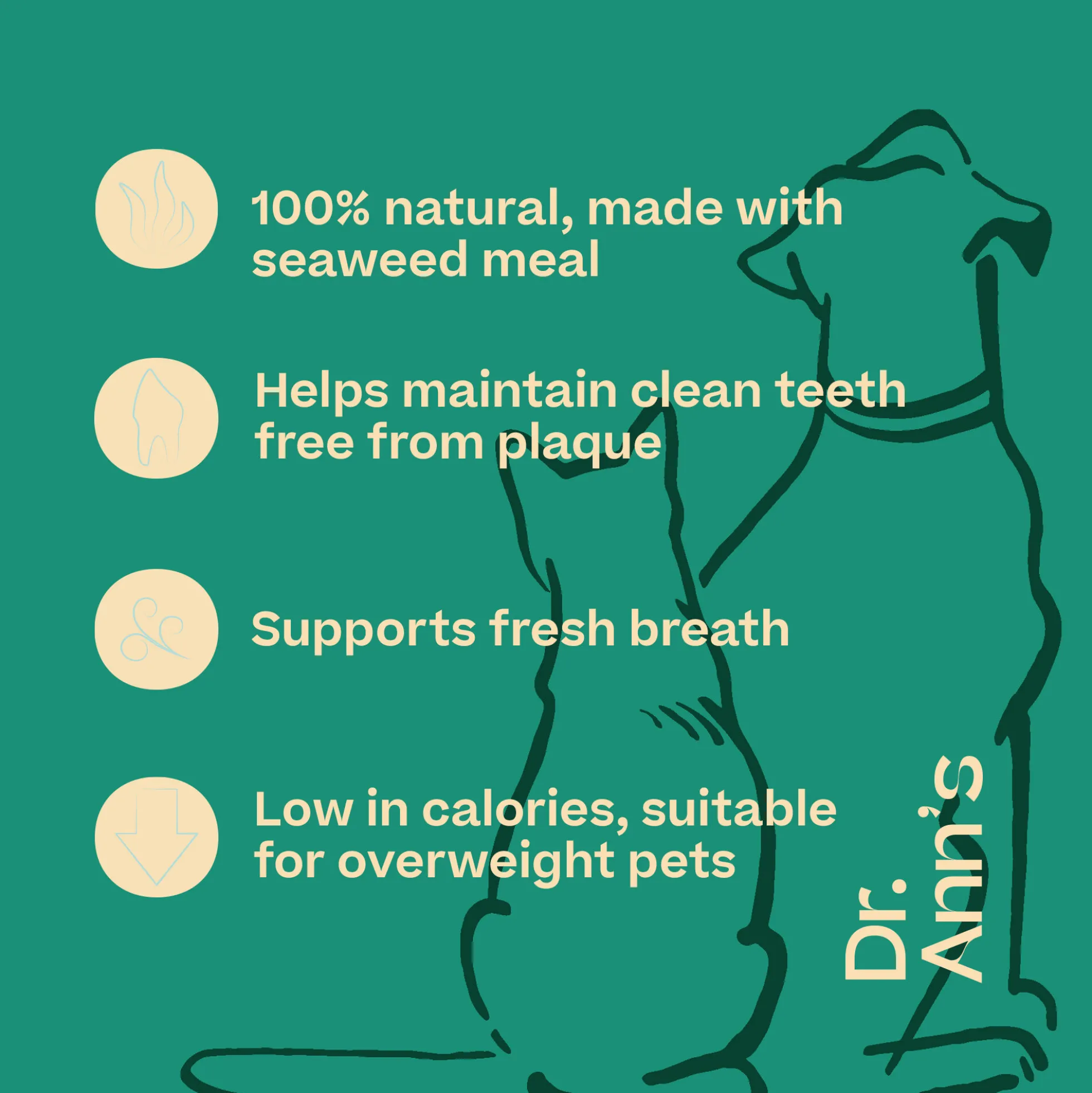 Dr. Ann's Dental Care