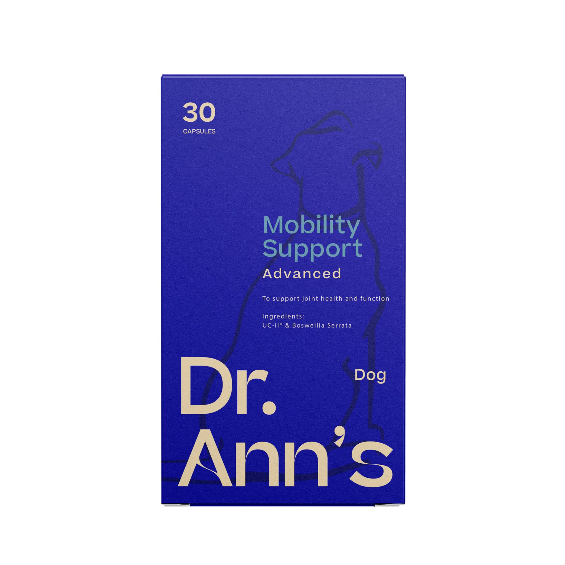 Dr. Ann's Mobility Support Advanced