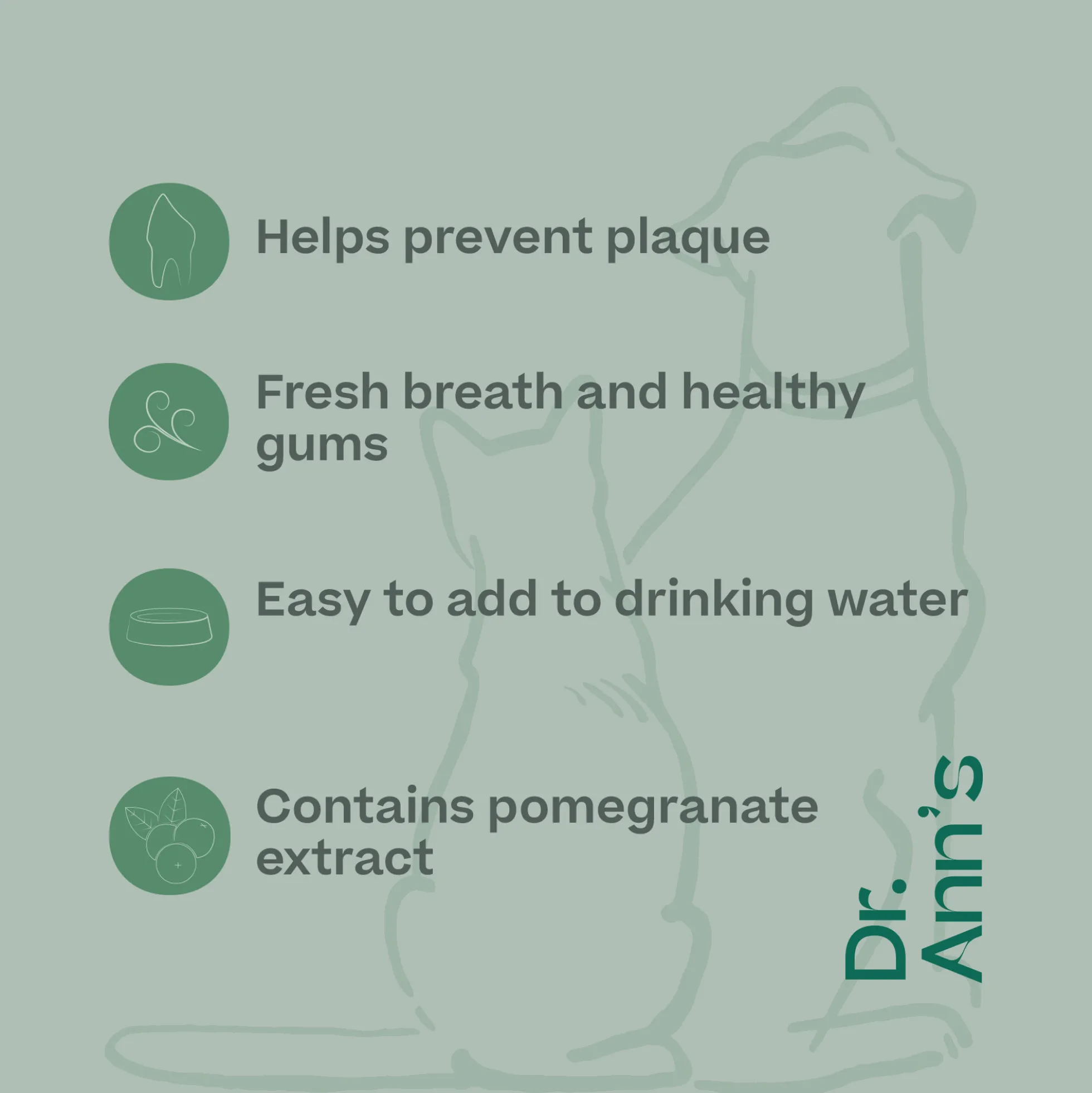 Dr. Ann's Mouth Wash