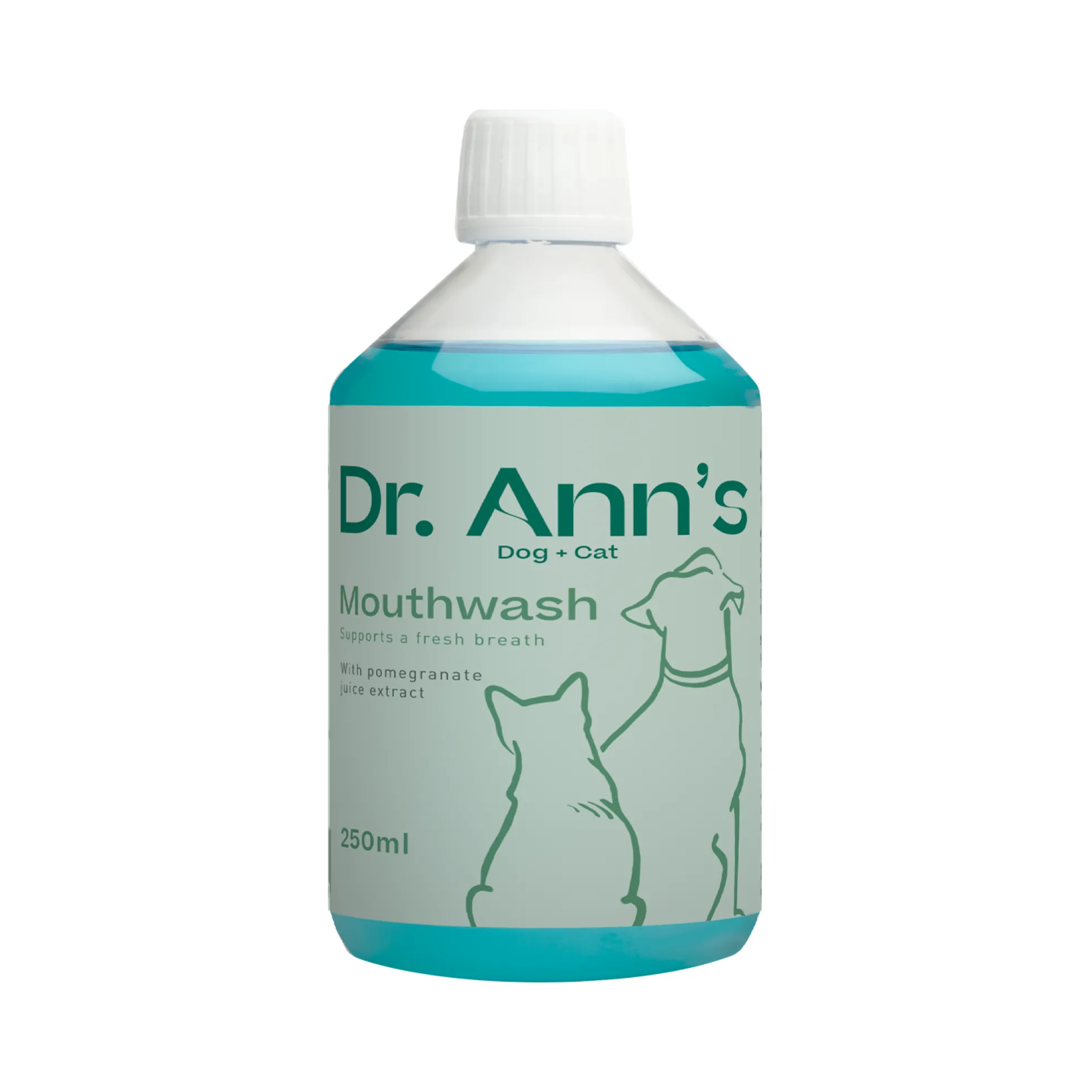 Dr. Ann's Mouth Wash