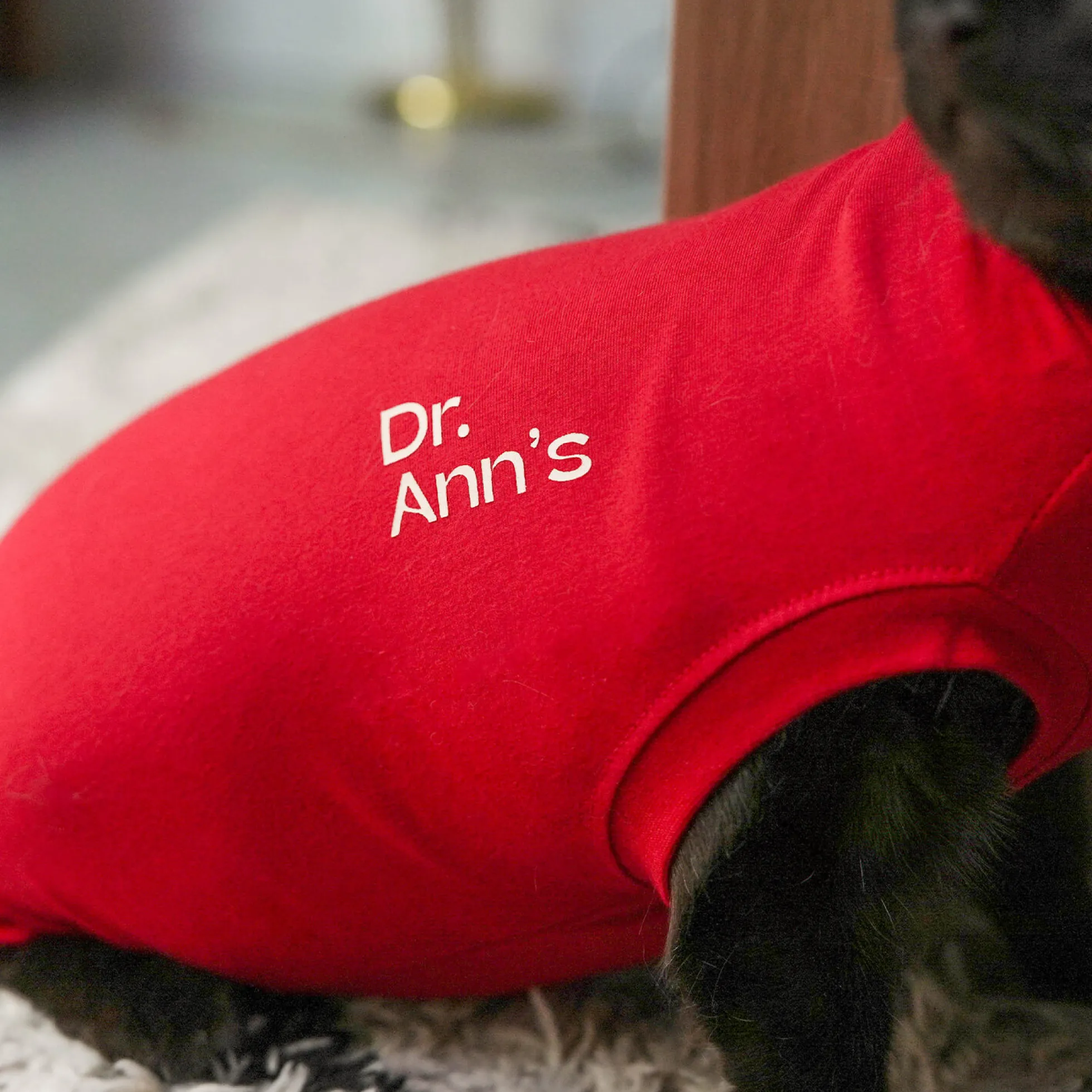Dr. Ann's Protective Shirt Gatto