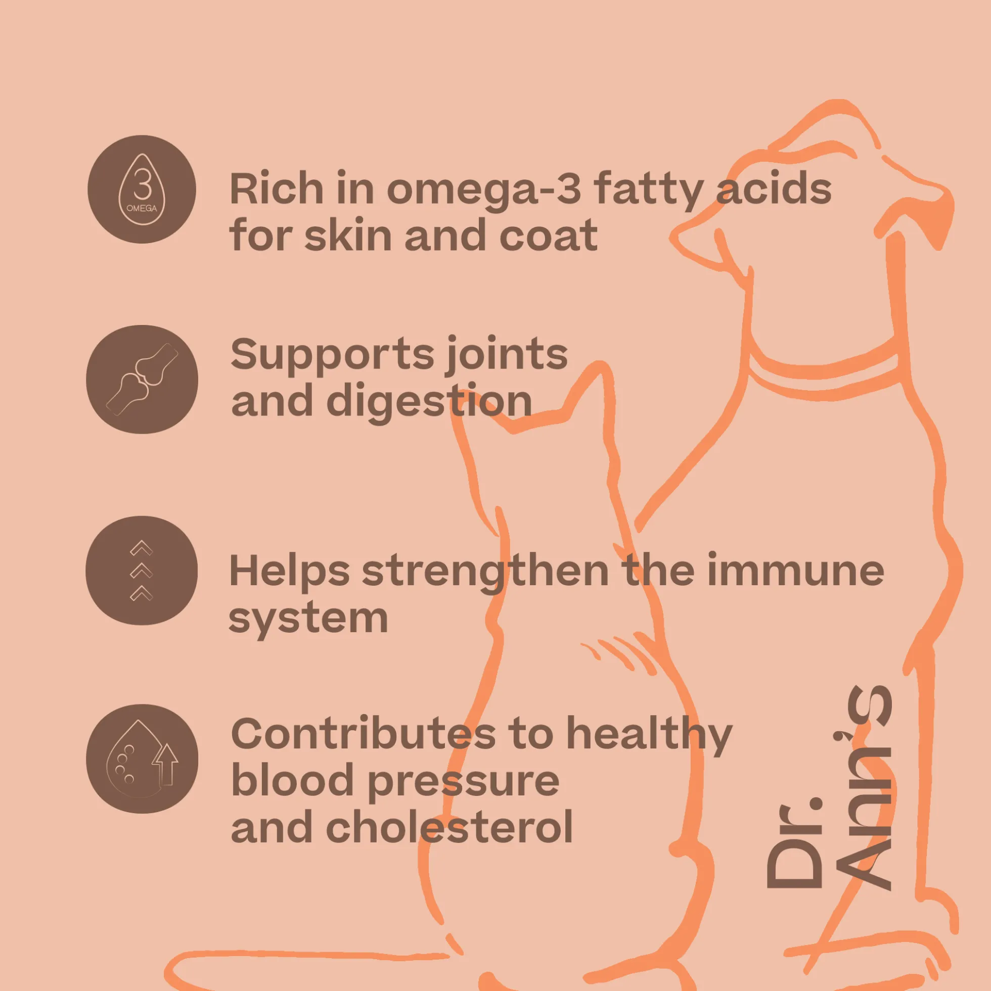 Dr. Ann's Salmon Oil