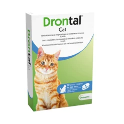 Drontal Cat
