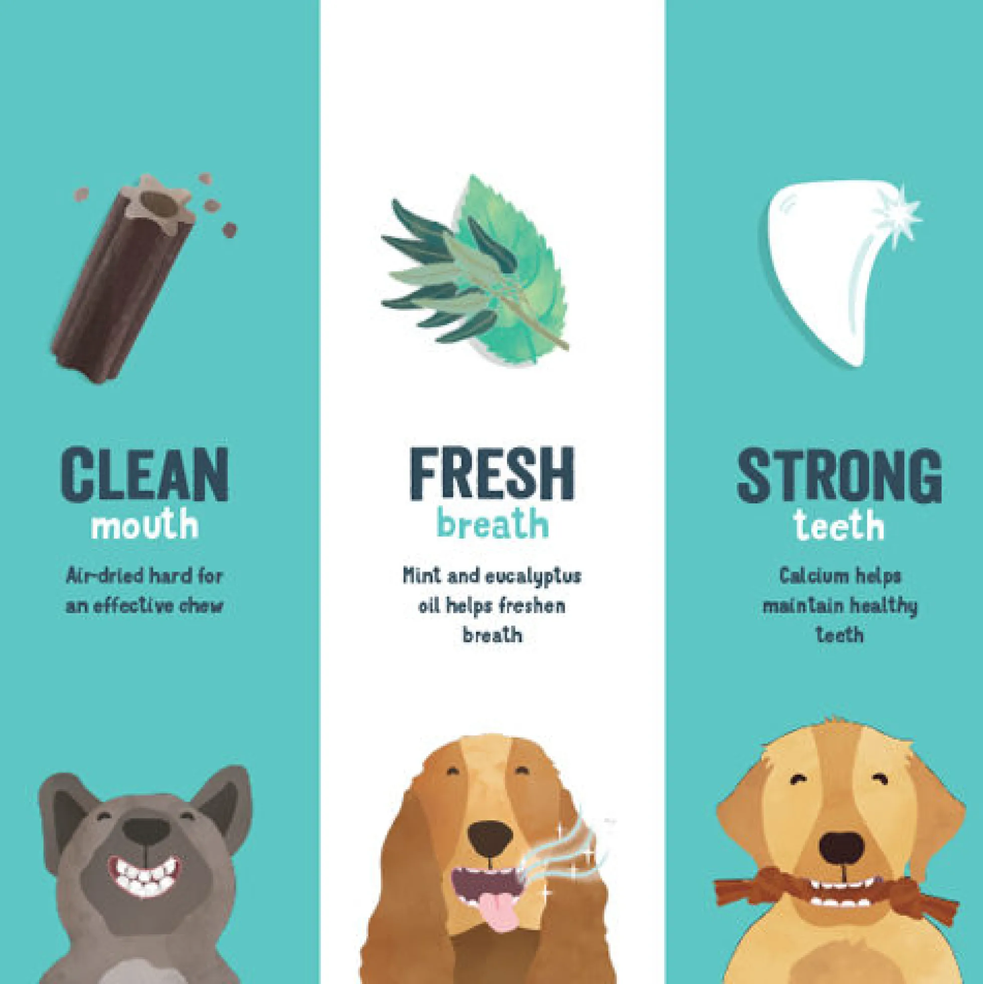 Edgard & Cooper Doggy Dental - Menta e Fragola