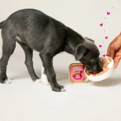 Edgard & Cooper Puppy - Anatra e Pollo - Vaschetta