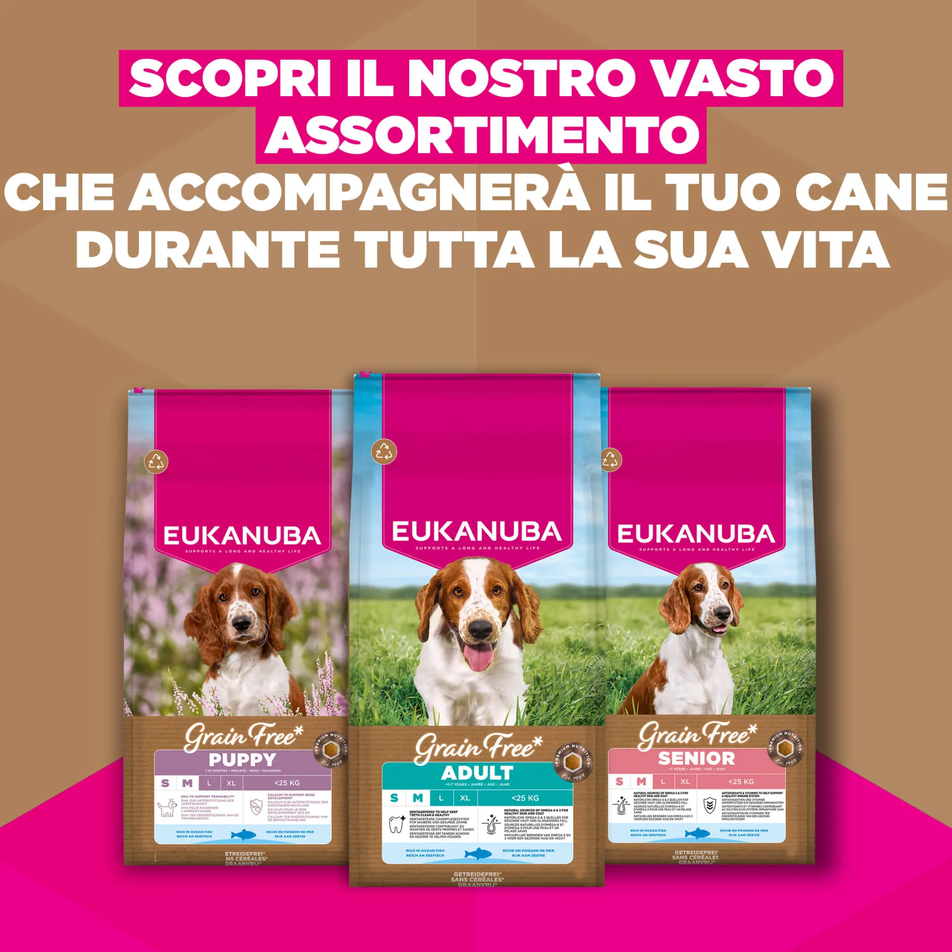 Eukanuba Dog Puppy Small/Medium Grainfree Cibo per Cani