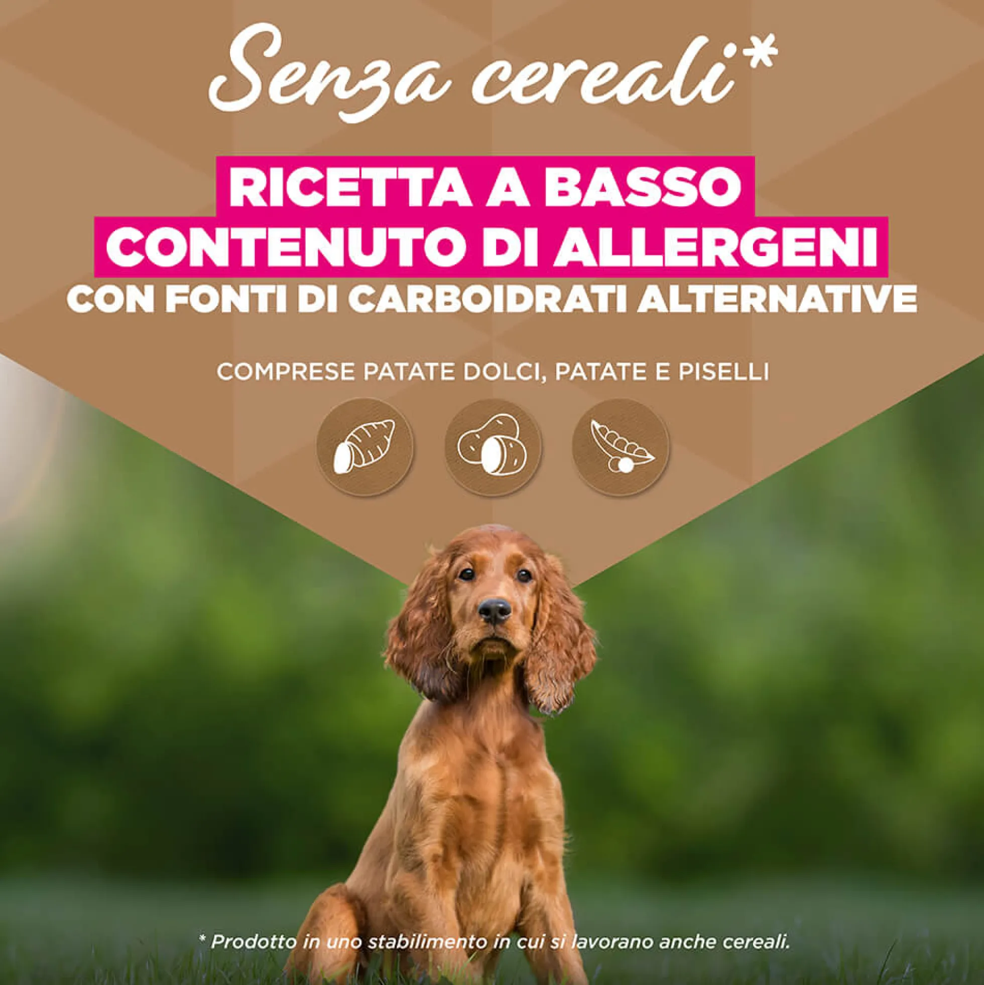 Eukanuba Dog Puppy Small/Medium Grainfree Cibo per Cani