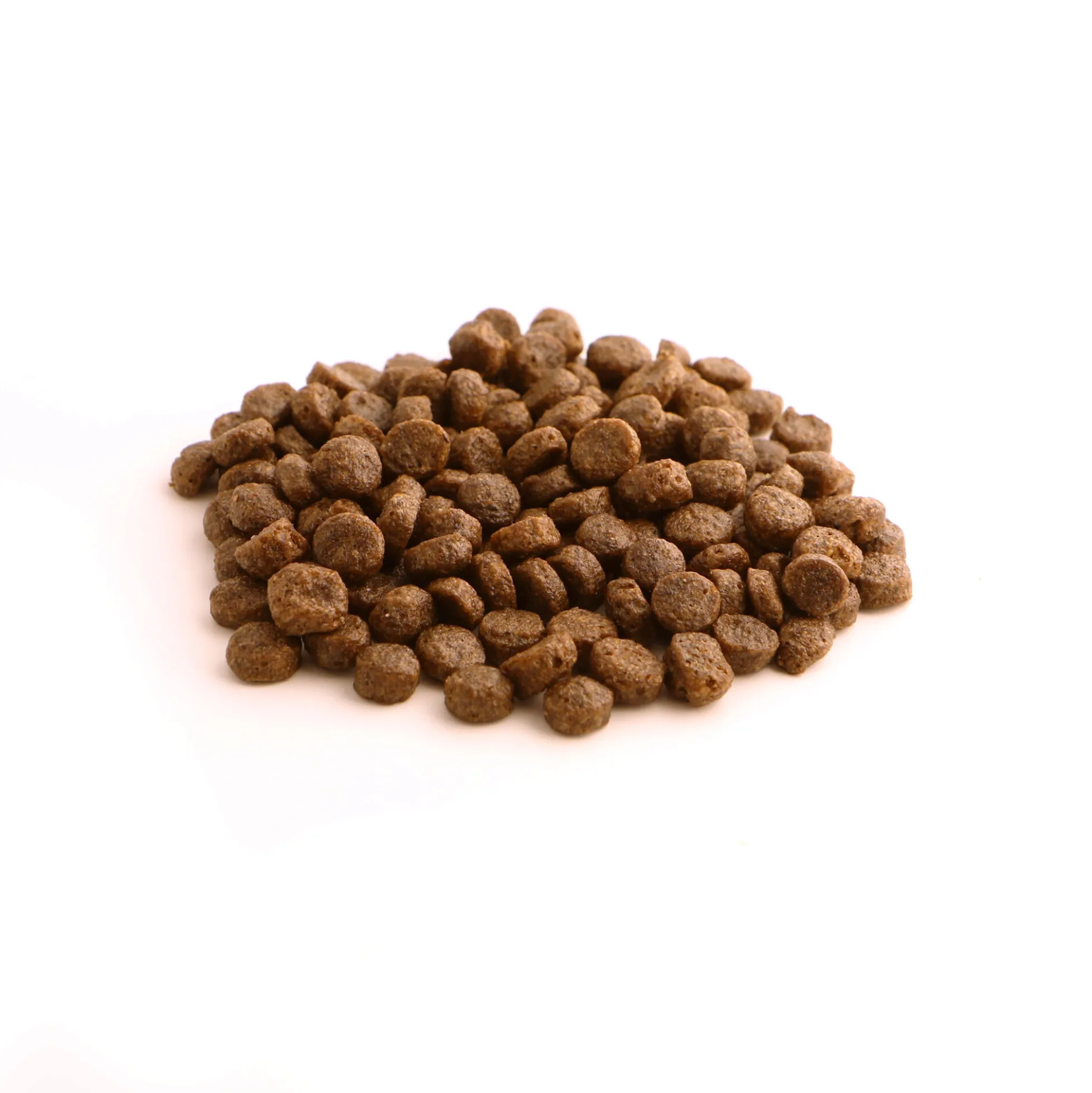 Fish4Dogs Finest Puppy Salmone con Patata Dolce