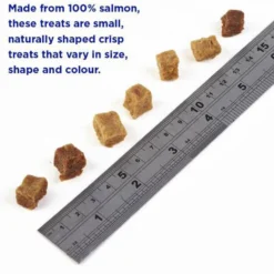 Fish4Dogs Puppy Training Salmon Bites Snack per Cani