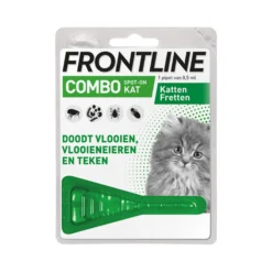 Frontline Combo Kitten