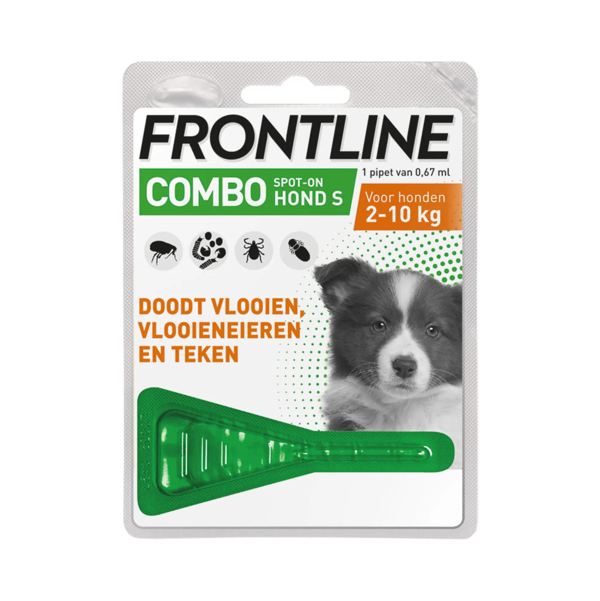 Frontline Combo Puppy