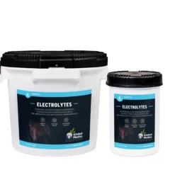 Global Medics Electrolytes Polvere