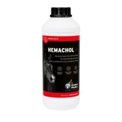 Global Medics Hemachol