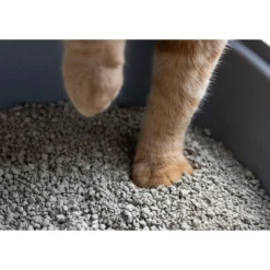 Gritty Lettiera per Gatti Agglomerante
