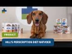 Hill's i/d Digestive Care Spezzatino - Prescription Diet - Canine
