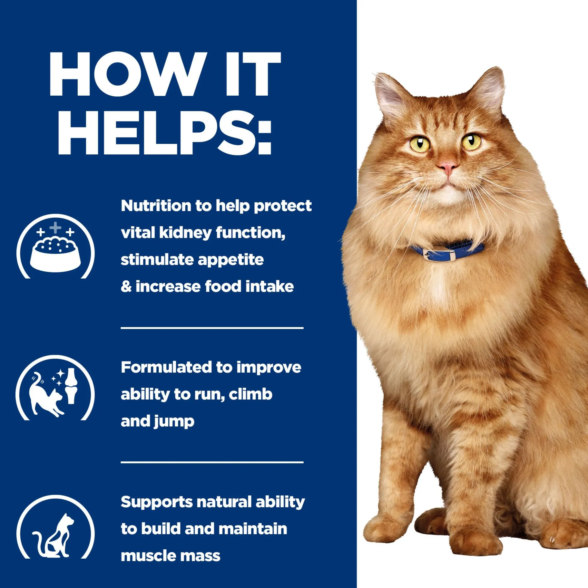 Hill's k/d + Mobility - Prescription Diet - Feline