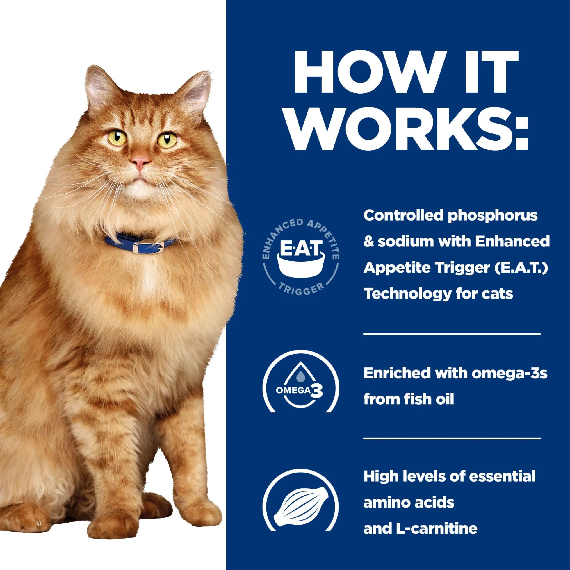 Hill's k/d + Mobility - Prescription Diet - Feline