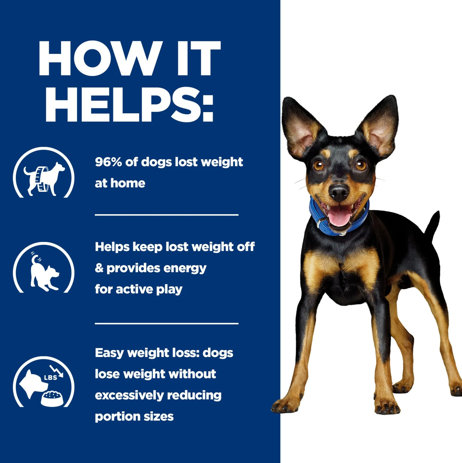 Hill's Metabolic Mini - Prescription Diet - Canine