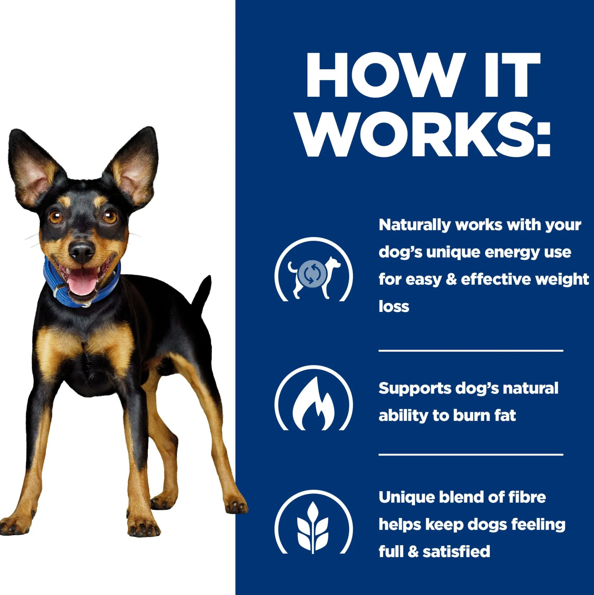 Hill's Metabolic Mini - Prescription Diet - Canine